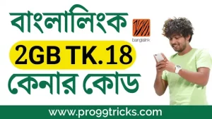 কিভাবে বাংলালিংকে ১৮ টাকায় ২ জিবি ইন্টারনেট কিনবেন 2024 | কেনার নিয়ম ও কোড