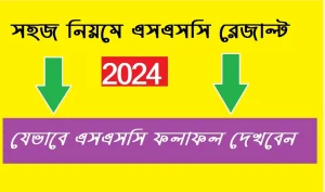 নতুন নিয়মে এসএসসি রেজাল্ট ২০২৪ দেখার উপায়